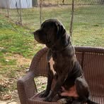 Dwight Gardner - Facebook