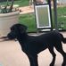 Dwight Goff - Facebook