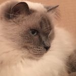 Dwight Greene - @dwight.greene - Instagram