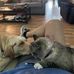 Dwight Greene - Facebook