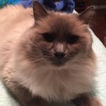 Dwight Phyllis Greene - @ddgreene1954 - Instagram