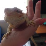 Dwight Clinton - @dragon_dwightguy - Instagram