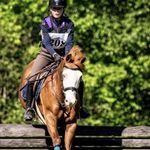 area 1 novice eventer🇺🇸 - @haley_dwight_eventing - Instagram