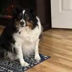 Dwight Haley - @crabcake201 - Instagram