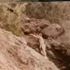 Dwight Whaley - @dwight.whaley - TikTok