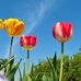 Dwight Hewlett - Facebook