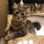 Dwight Dwight Haney - @reviewsbydwight - Instagram