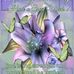 Dwight Hanley - Facebook