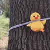 Dwight Hardy - @dwight.hardy0 - TikTok