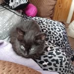 Dwight Hatcher - @dwighthatcher001 - Instagram