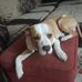 Dwight Hedrick - Facebook
