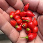 Dwight Wilhelm - @dwightfwilhelm - Instagram