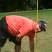 Dwight Hensley - Facebook