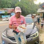 Dwight Hines - @dwighthines0 - Instagram