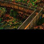@dwighthoffman - Instagram