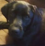 Dwight Holbrook - Facebook
