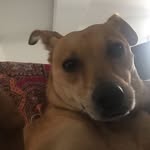 help - @dwight.kurt - Instagram