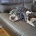 Todd Ingalls - Facebook