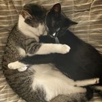 Dwight & Jack - @dwight_jack0826 - Instagram