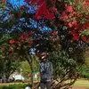 dwightjeffersonms - @dwightjeffersonms - TikTok