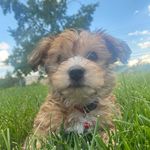 Dwight Jeffries - @dwitty.jeffries - Instagram