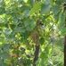 Dwight Johnston - Facebook