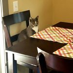 Dwight Junior - @dwight__june - Instagram
