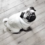 Frank Dwight Junior - @frankylife - Instagram