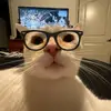 kanetyy?. - @monterodwightkane - TikTok