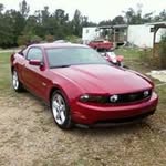 @dwightkelley6gmail.com_ - Instagram