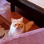 Dwight Lane - @dwightlane54 - Instagram