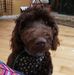 Dwight Lawrence - Facebook