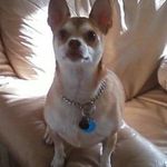 Dwight Wayne Lawson - @dwight.w.lawson - Instagram