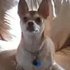 dwightwaynelawson - @dwight.wayne.laws - TikTok