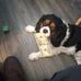 Dwight Leonard - Facebook