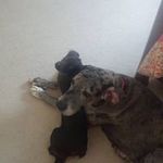 Dwight Lynn - @dwight.lynn.9 - Instagram