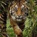 Dwight Moser - Facebook