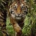 Dwight Moser - Facebook