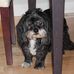 Dwight Mueller - Facebook