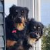 Dwight Mullen - Facebook