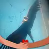 Dwight New - @dwight.new - TikTok