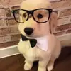 DwightNo9news - @dwightno9news - TikTok