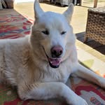 Dwight Newman - @dnewman361 - Instagram