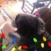 Dwight Newman - Facebook