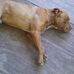 Dwight Nunn - Facebook