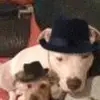 dwightnutflowers - @dwightnutflowers - TikTok