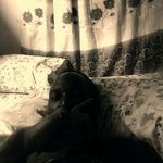 Dwight Oconnor - @dwight.oconnor - Instagram