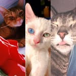Frankie•Oliver•Dwight - @frankieoliverdwight - Instagram