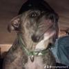 Dwight Parker - @dwight.parker80 - TikTok