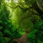 Dwight Patterson - @dwightpatterson531766 - Instagram
